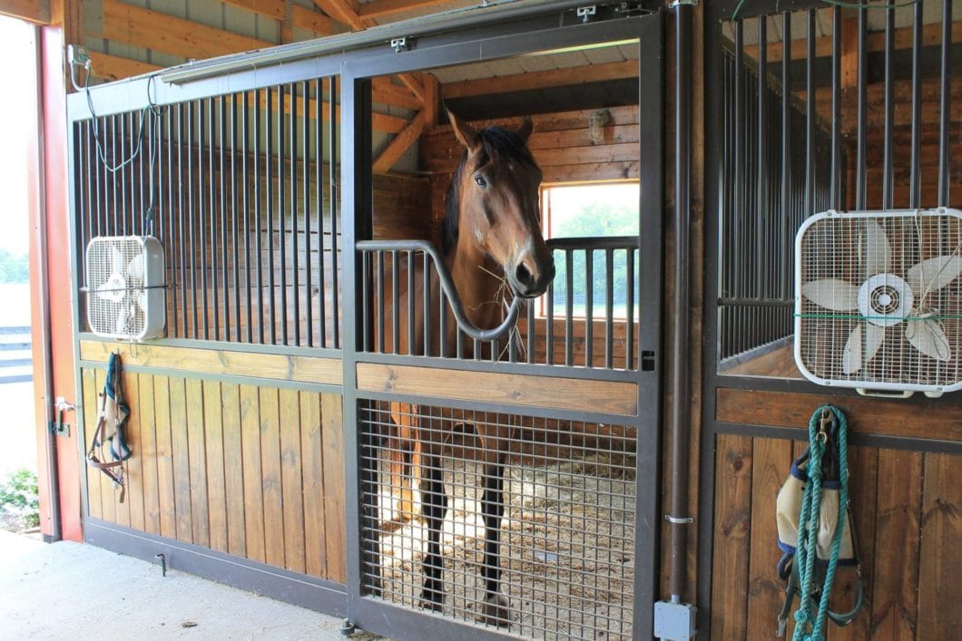 Horse Stalls
