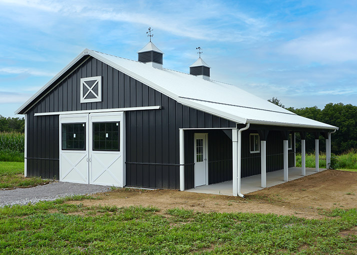 Black Horse Barn With White Roof